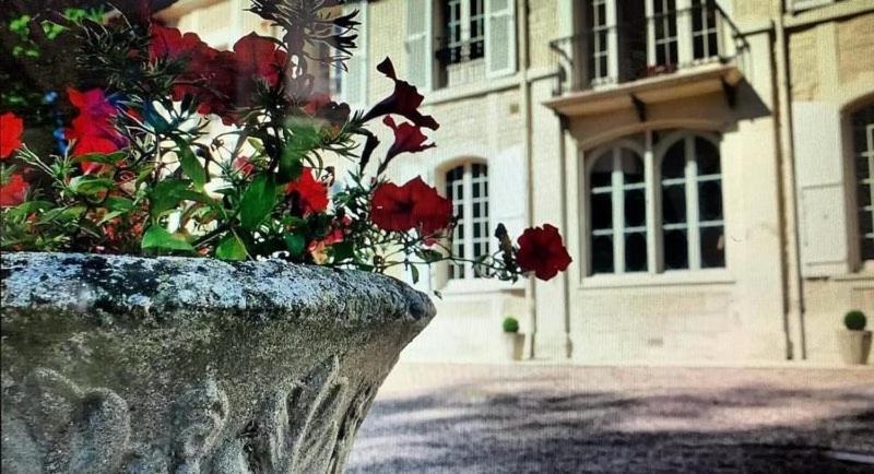 Chateau Du Mesnil Soleil , Gites Et Chambres D'Hotes Damblainville Exterior foto
